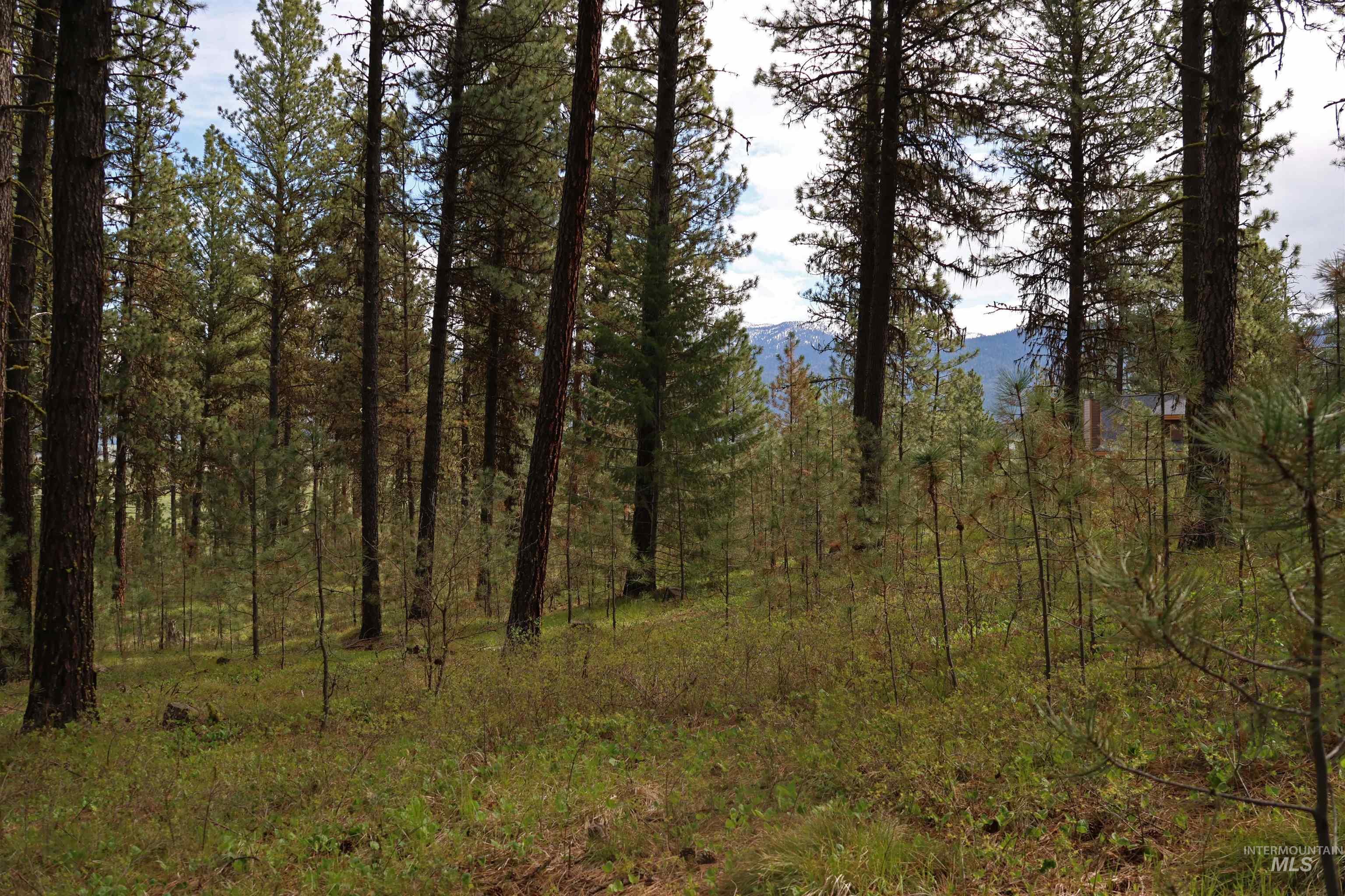 Lot 6 Hot Springs Road New Meadows, ID 83654 - Photo 5 of 11