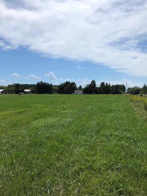 0 Townline Road Pellston, MI 49769 - Photo 4 of 13 Gallery Image 4