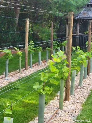 $50,000 | 15 Carter Road, Hampton Bays, NY 11946