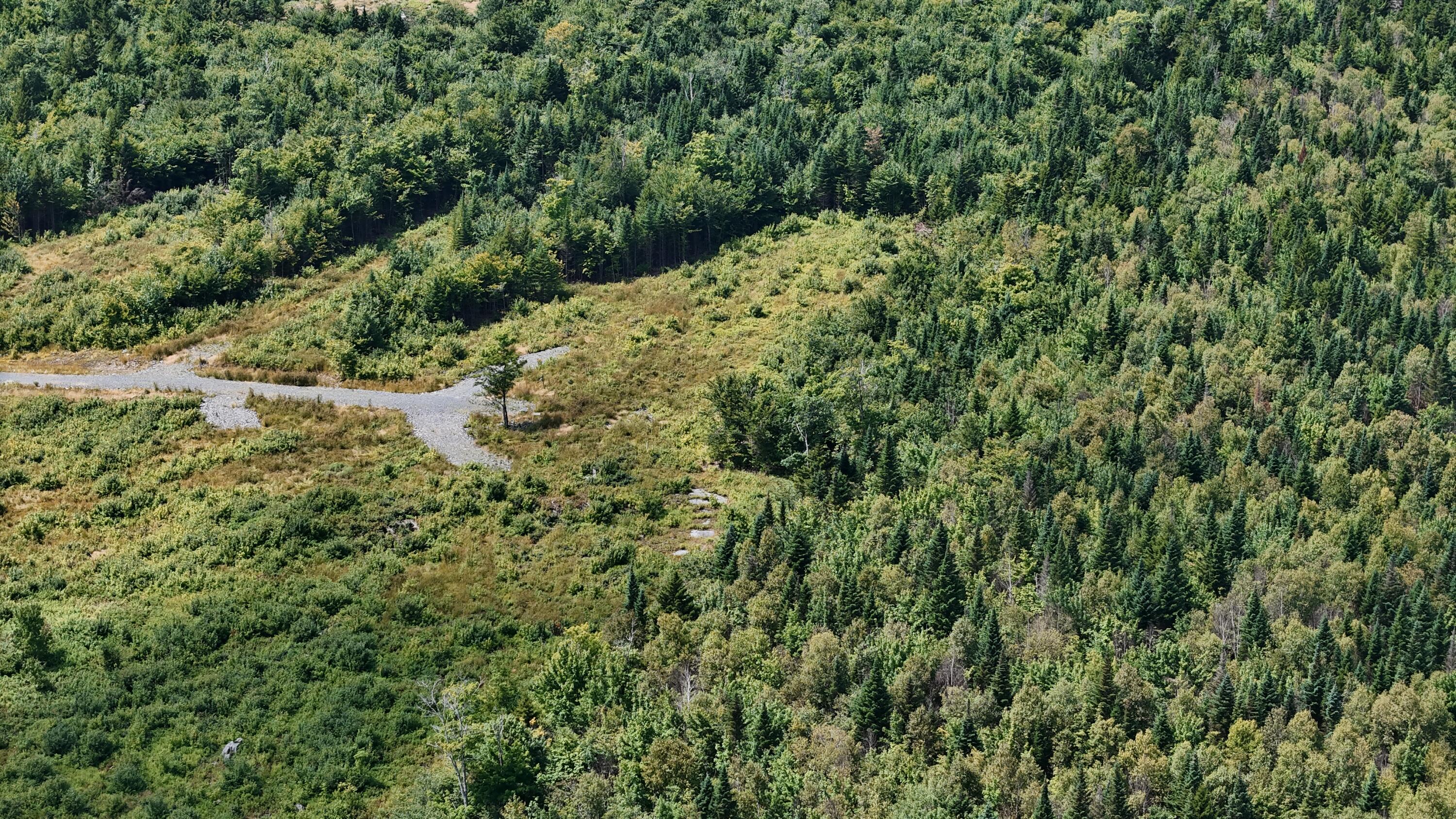 9 East Ridge Drive Greenville, ME 04441 - Photo 1 of 5 0DF21B6C-CA39-4D9B-80F5-6B61A570660C