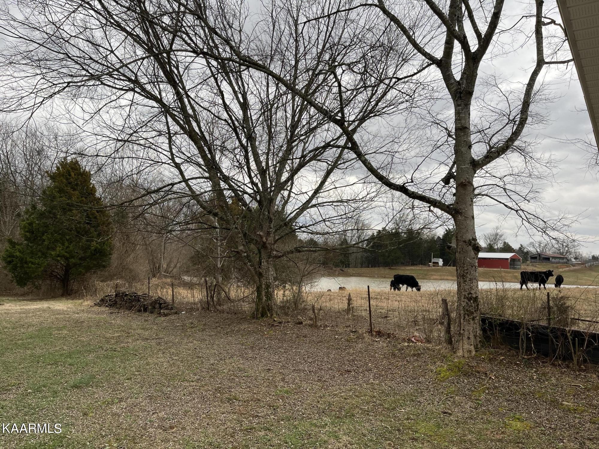 1646 Coles Chapel Road Sparta, TN 38583 - Photo 29 of 39 Gallery Image 29