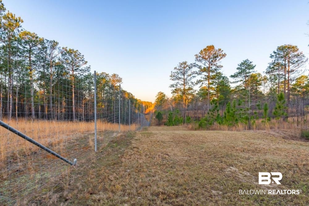 0 Private Road Millry, AL 36558 - Photo 9 of 50