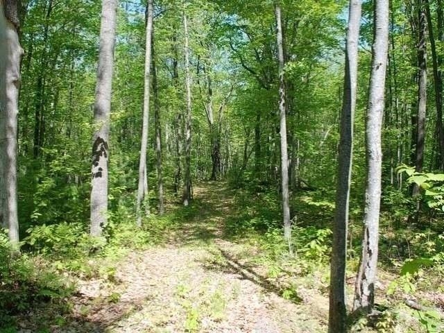 5691 Oak Ridge Drive Gladwin, MI 48624 - Photo 28 of 74