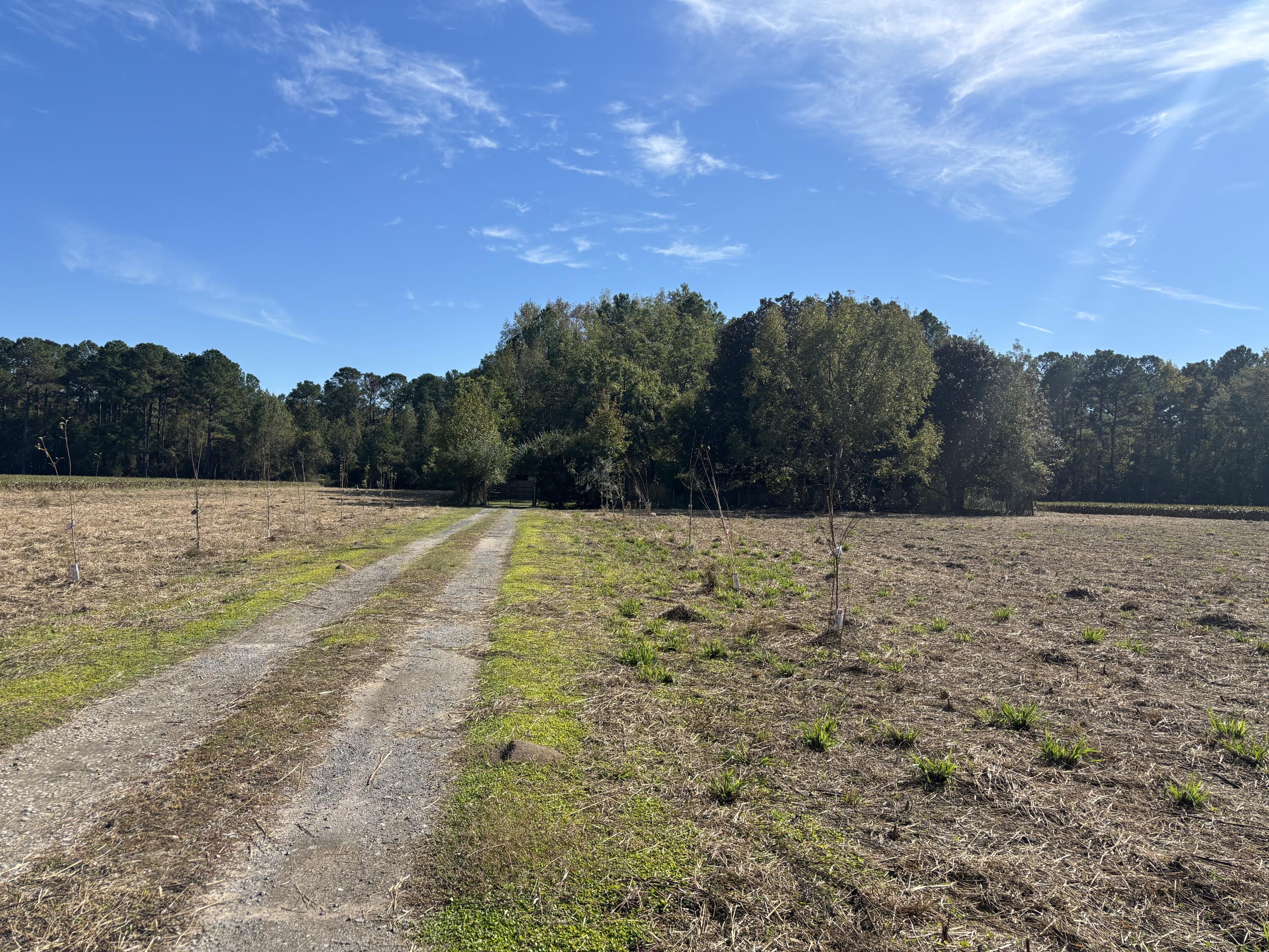 13964 Highway 301 Gable, SC 29051 - Photo 2 of 33