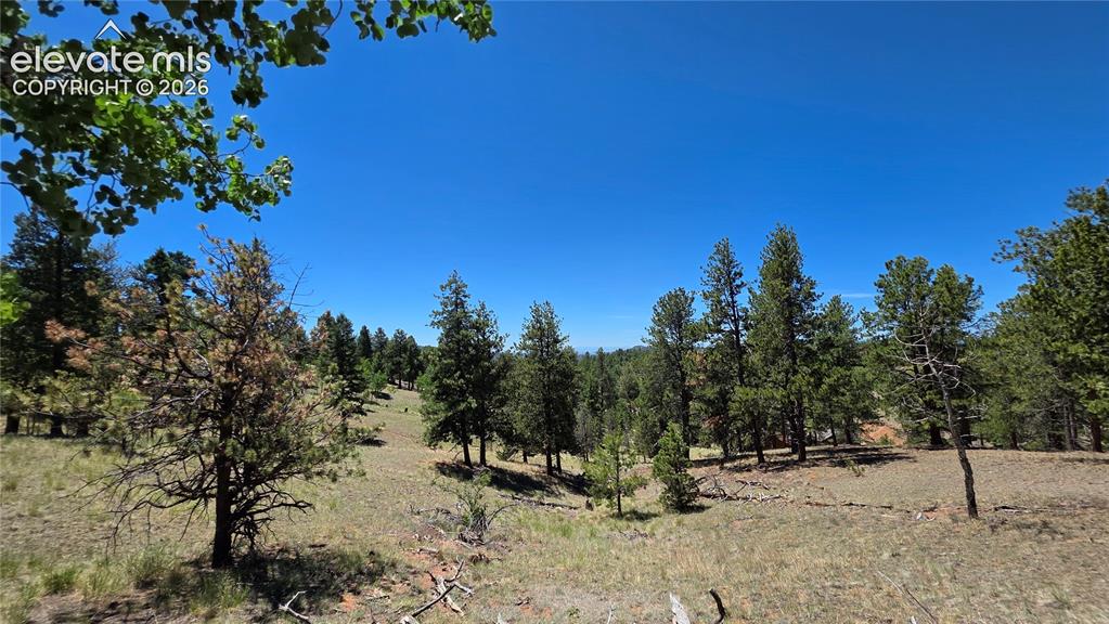 1366 North Mountain Estates Road Florissant, CO 80816 - Photo 9 of 16