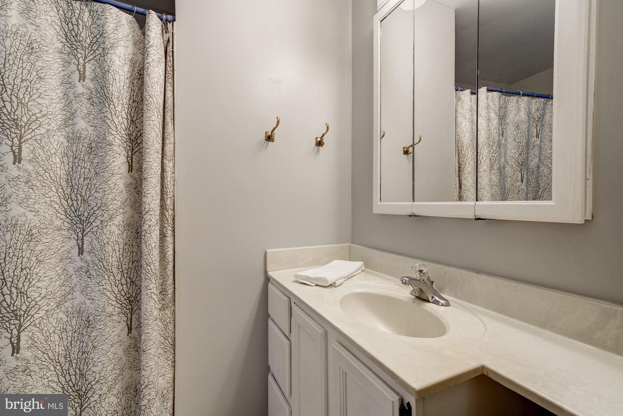 3108 Russell Road Alexandria, VA 22305 - Photo 20 of 45 MBR bath