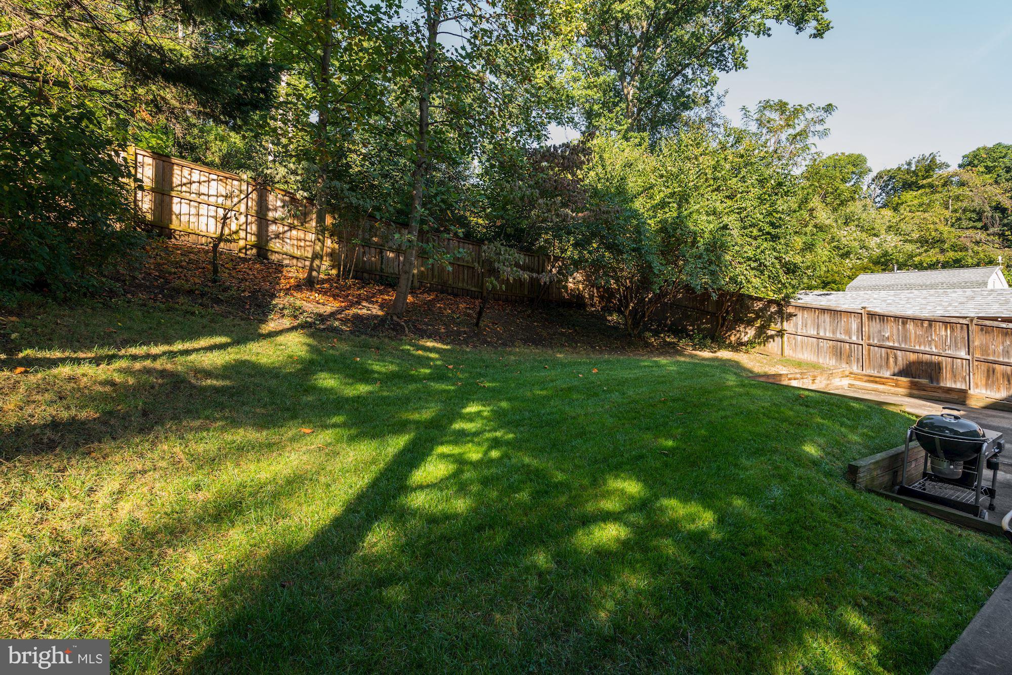 3108 Russell Road Alexandria, VA 22305 - Photo 35 of 45 Back yard