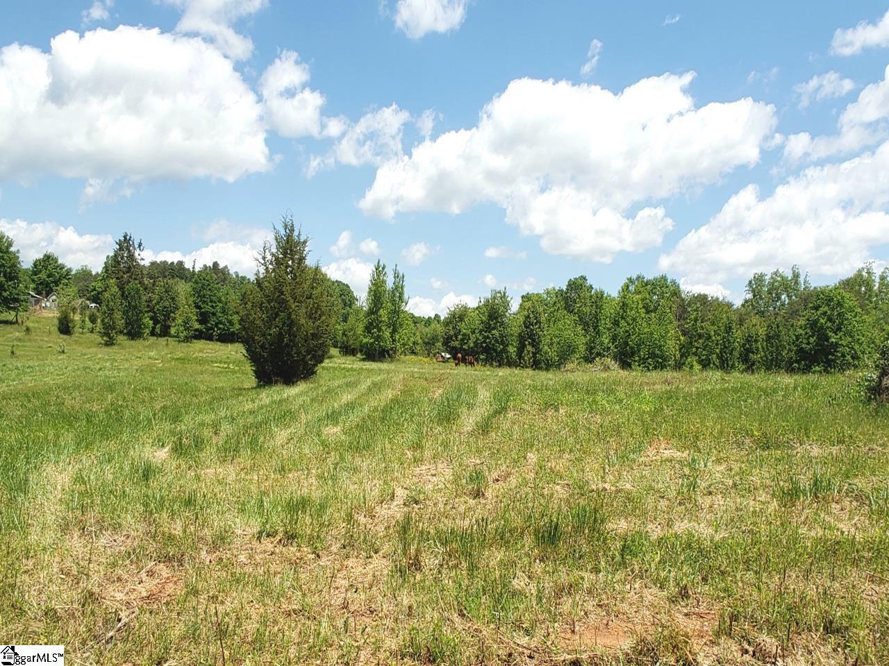 327 West Gap Creek Road, Unit LOT 2 Greer, SC 29651 - Photo 19 of 25 Gallery Image 19