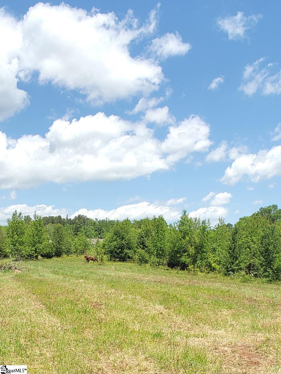 327 West Gap Creek Road, Unit LOT 2 Greer, SC 29651 - Photo 3 of 25 Gallery Image 3