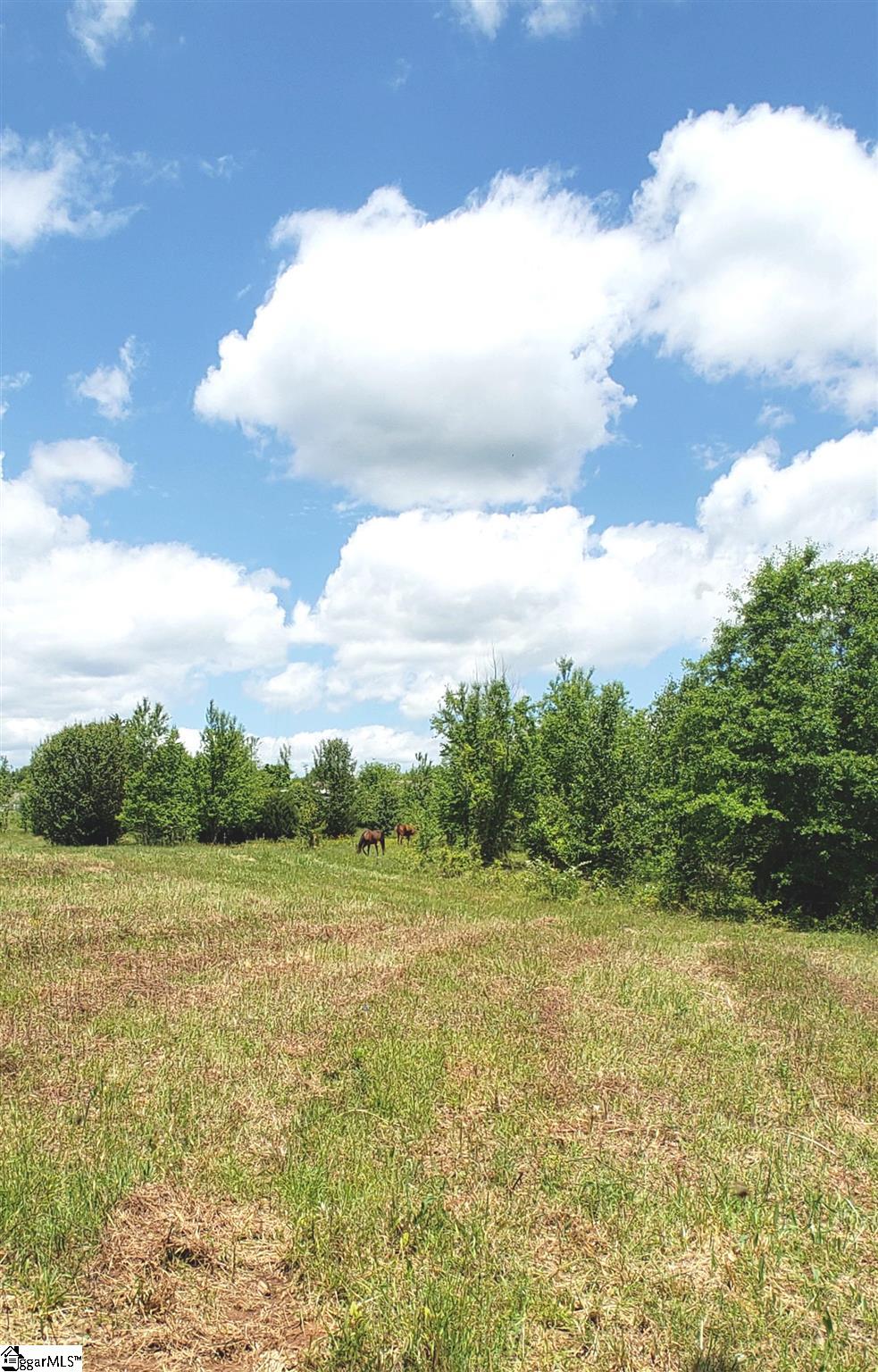327 West Gap Creek Road, Unit LOT 2 Greer, SC 29651 - Photo 6 of 25 Gallery Image 6