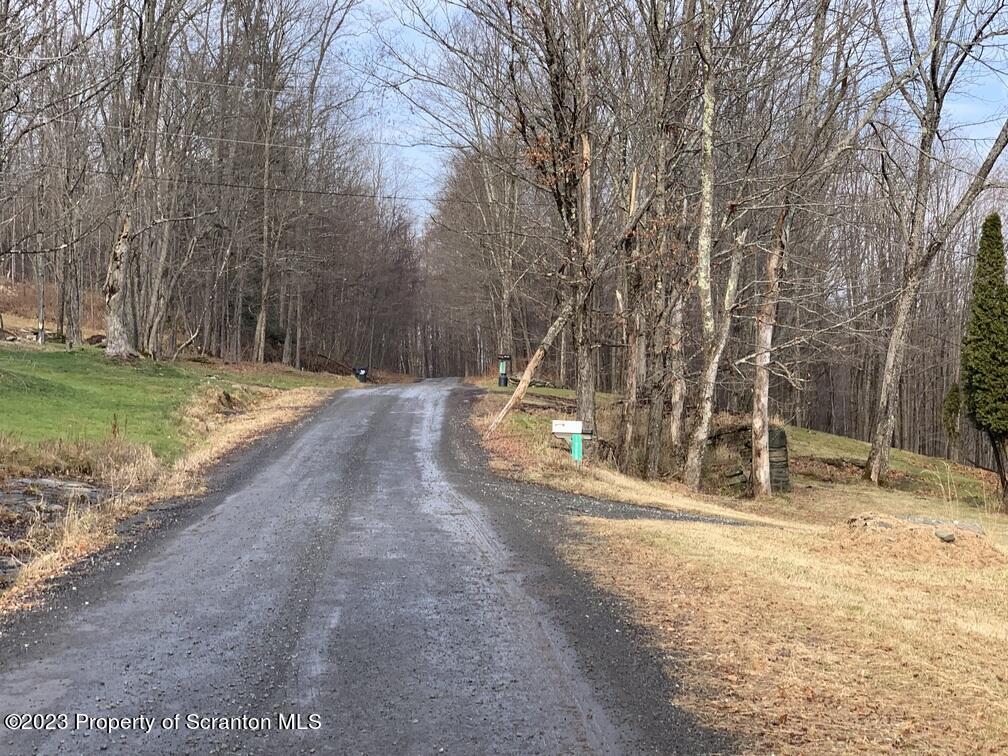 1226 Vauter Road Union Dale, PA 18470 - Photo 43 of 52 Gallery Image 43