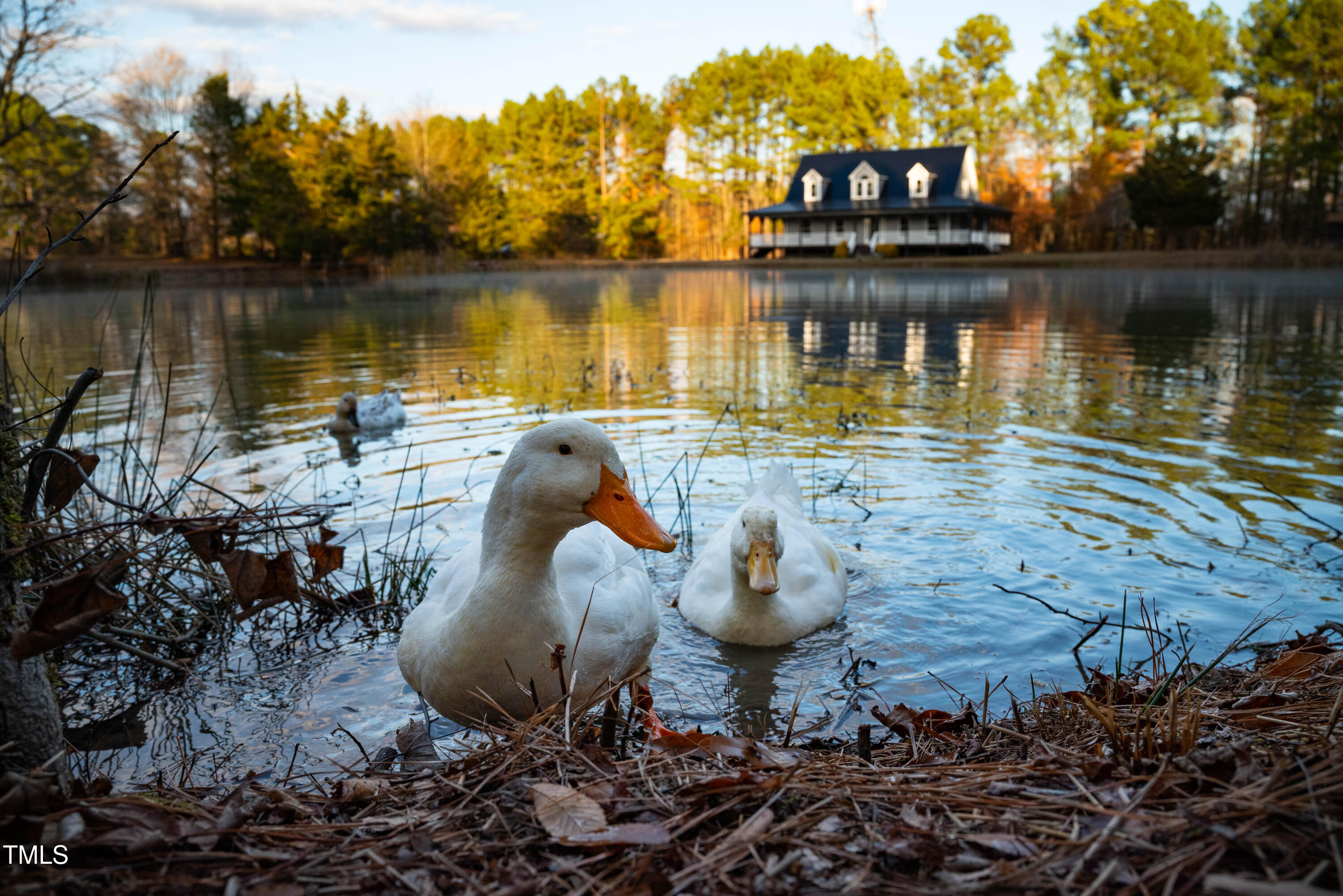 4222 Rogers Road Durham, NC 27703 - Photo 82 of 84 Z5B_5438