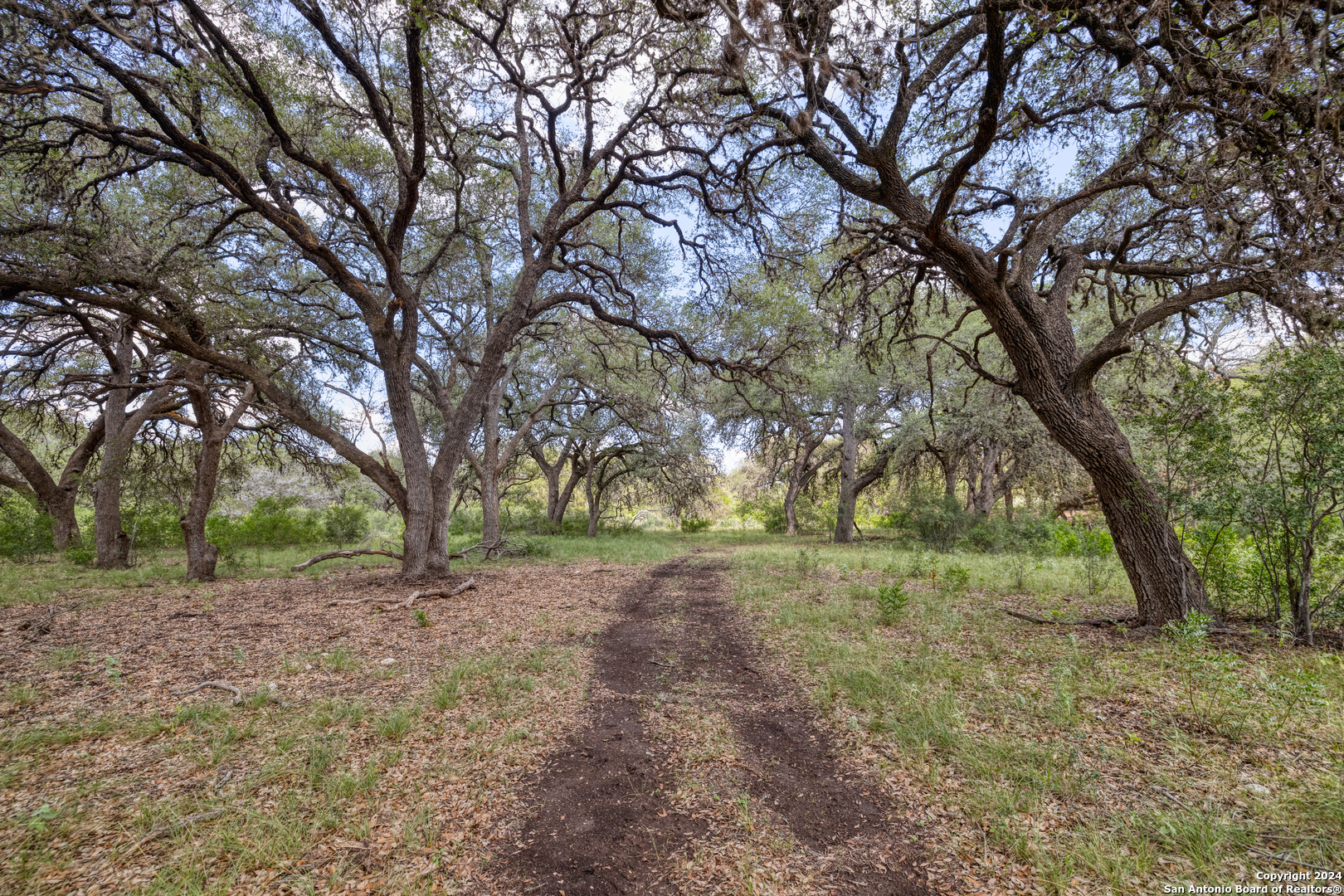 118 Camino Del Rancho Concan, TX 78838 - Photo 3 of 21 a view of dirt yard with a tree