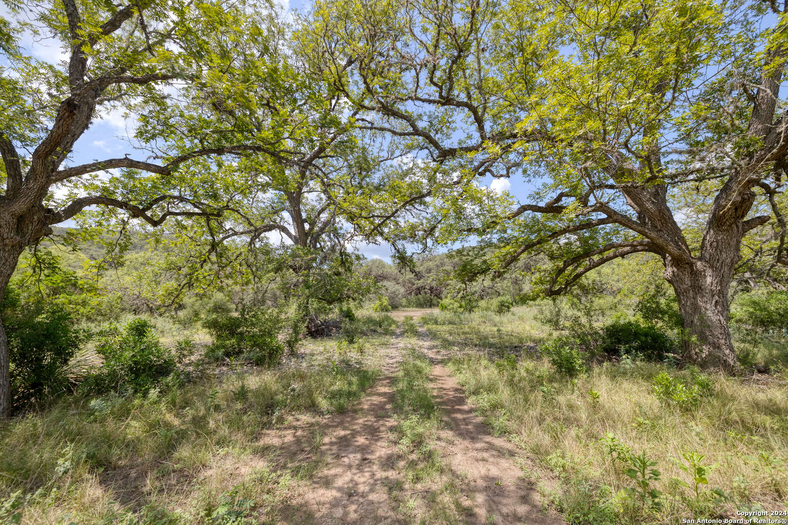 118 Camino Del Rancho Concan, TX 78838 - Photo 7 of 21 a view of a tree