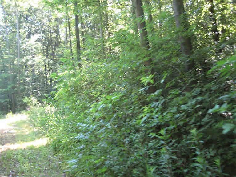 4144 North Nicholson Road Fowlerville, MI 48836 - Photo 9 of 15 20364959-8.JPG