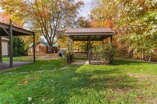 a view of a park with large trees