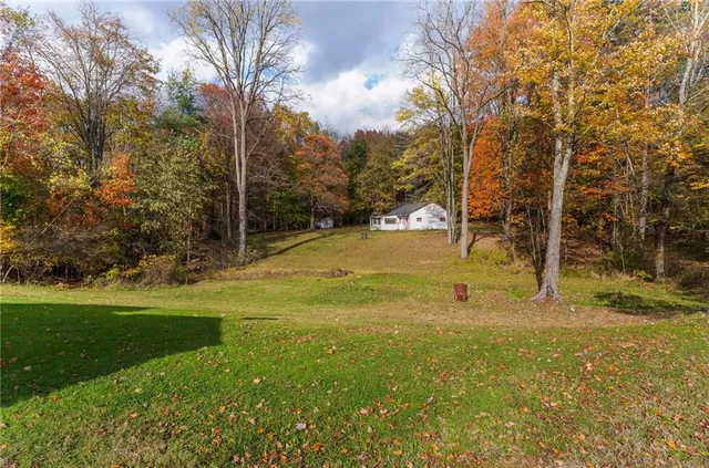 a view of a field with trees