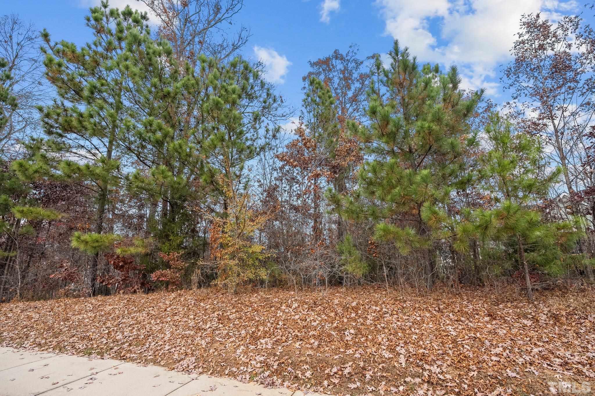 162 Lookout Ridge Pittsboro, NC 27312 - Photo 3 of 37 a view of a yard with plants and trees
