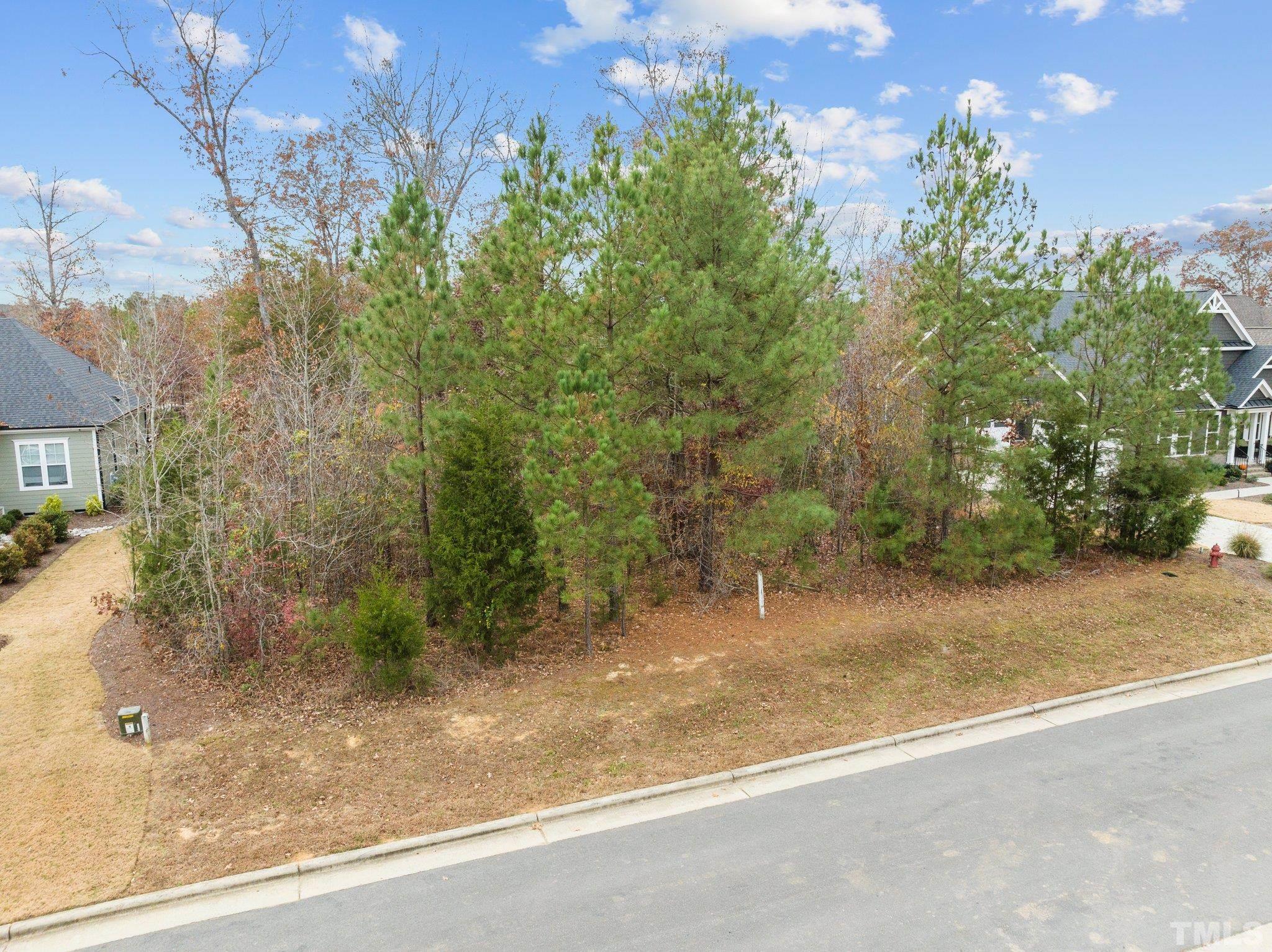 162 Lookout Ridge Pittsboro, NC 27312 - Photo 5 of 37 a backyard of a house with lots of green space