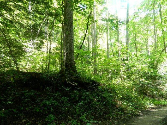 2 Cave Holw Road Campton, KY 41301 - Photo 22 of 25 Photo 22