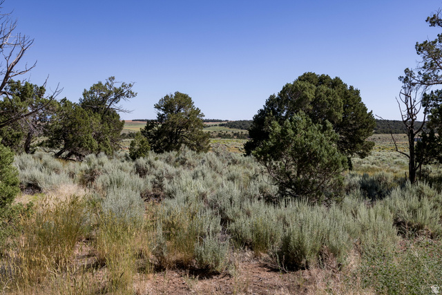 684 Blue Mountain Ridge Monticello, UT 84535 - Photo 58 of 71 View of local wilderness featuring rural landscape