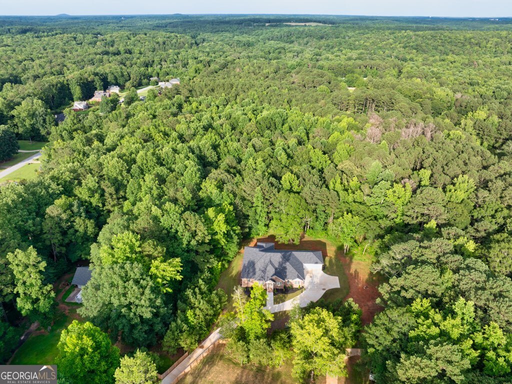 338 Mt Zion Road Oxford, GA 30054 - Photo 66 of 70