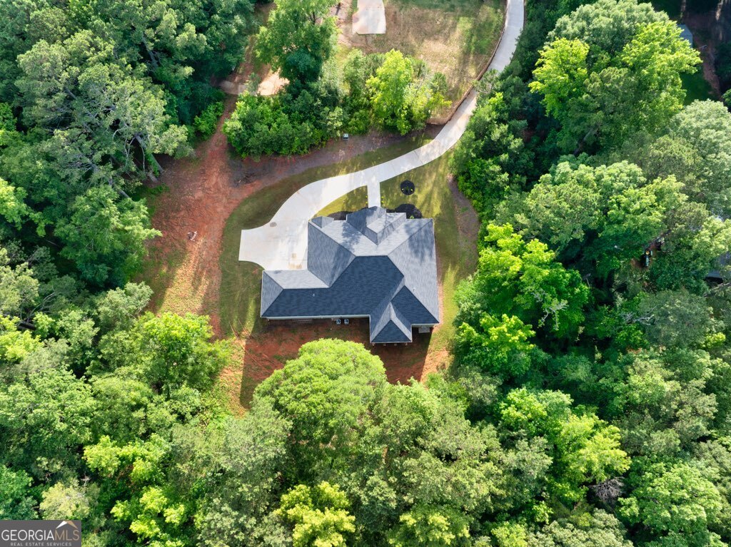 338 Mt Zion Road Oxford, GA 30054 - Photo 67 of 70