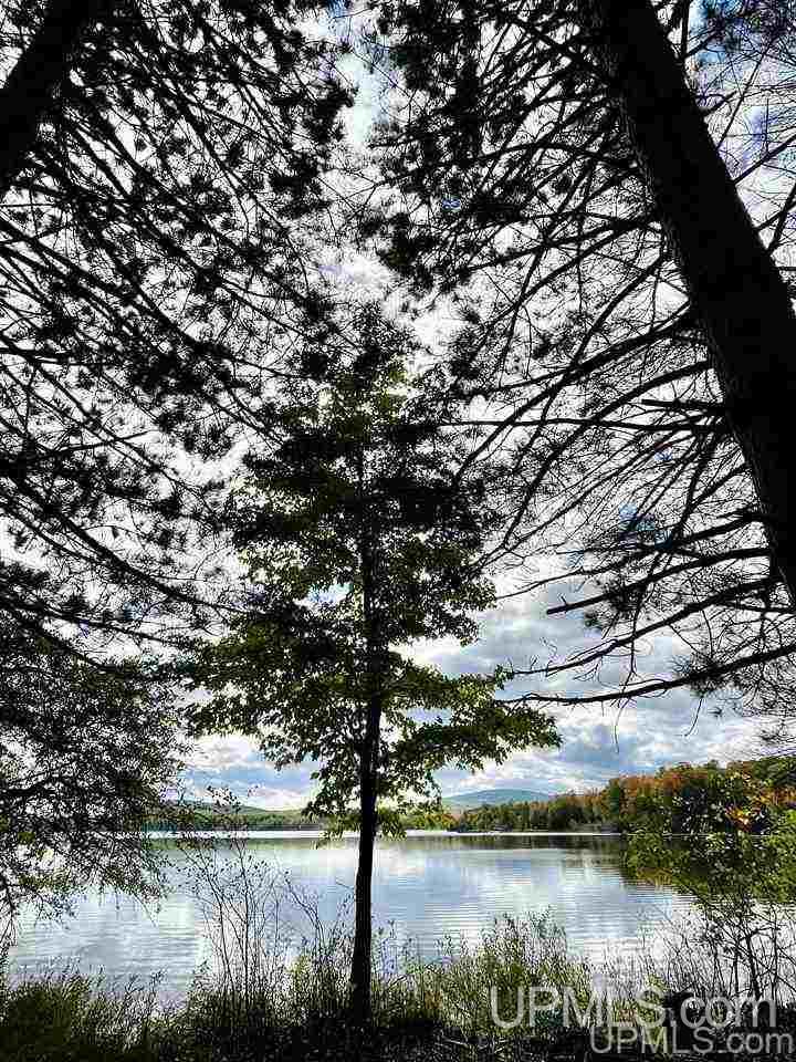 Tbd Old Mill Road, Unit 339 Big Bay, MI 49808 - Photo 7 of 16