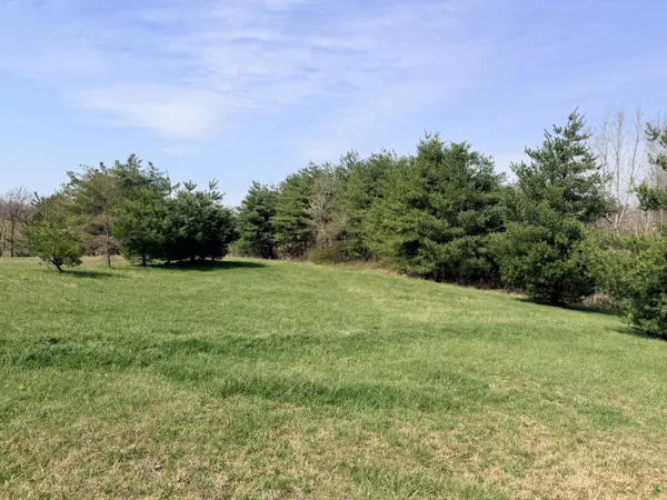 a backyard of a house with lots of green space and fog