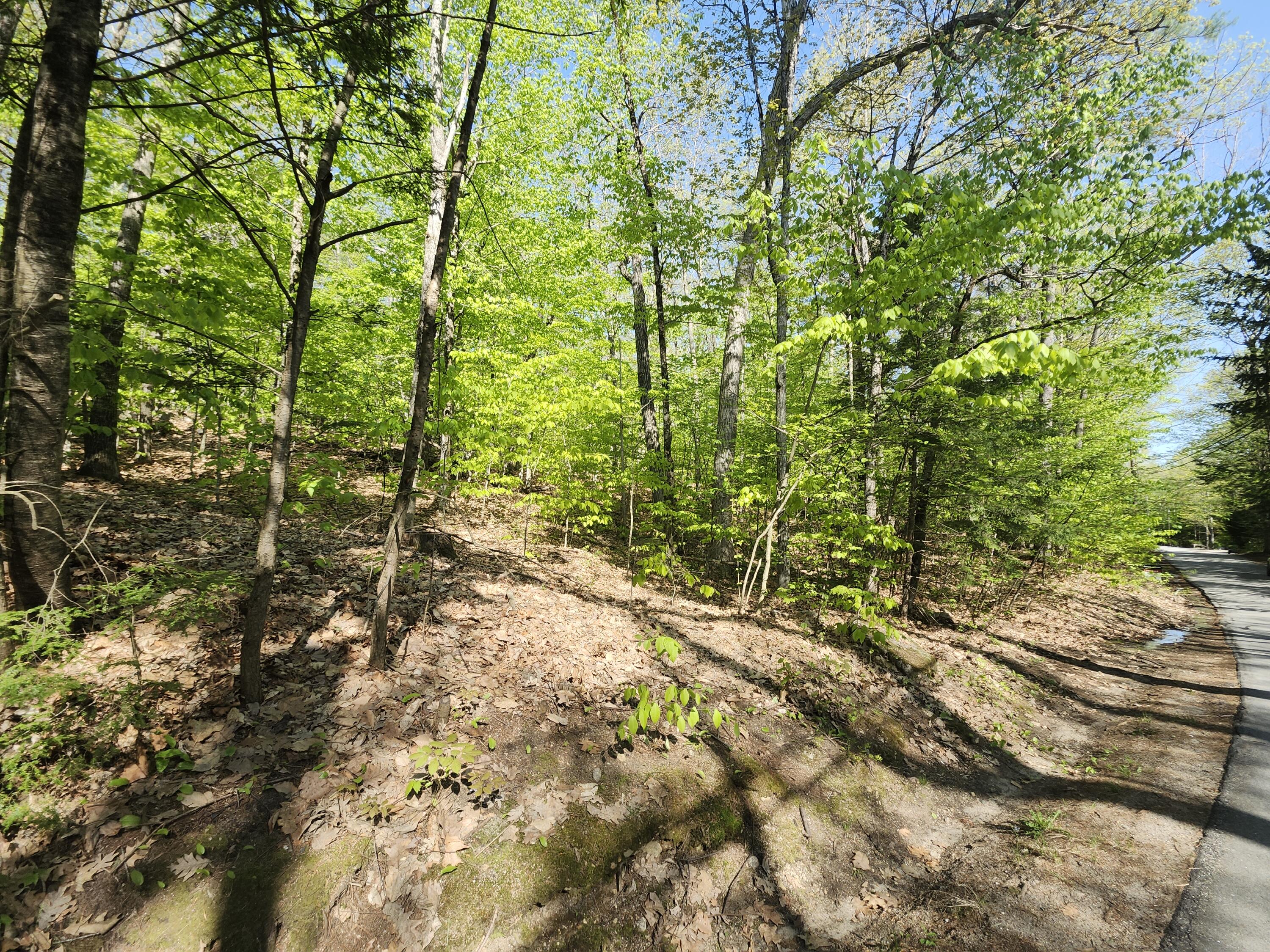 Lot #006 Trickey Pond Road Naples, ME 04055 - Photo 7 of 30 20250514_090427