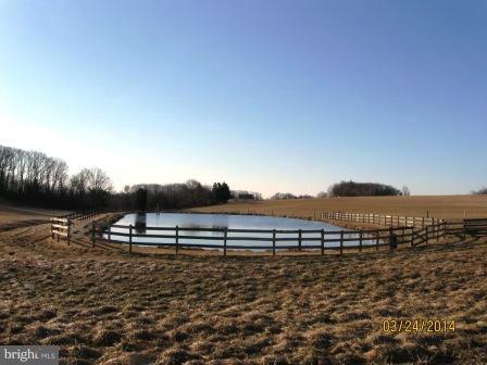 21535 Middletown Road Freeland, MD 21053 - Photo 17 of 23 View with stocked pond