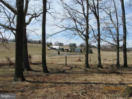 21535 Middletown Road Freeland, MD 21053 - Photo 21 of 23 View or farm from the woods