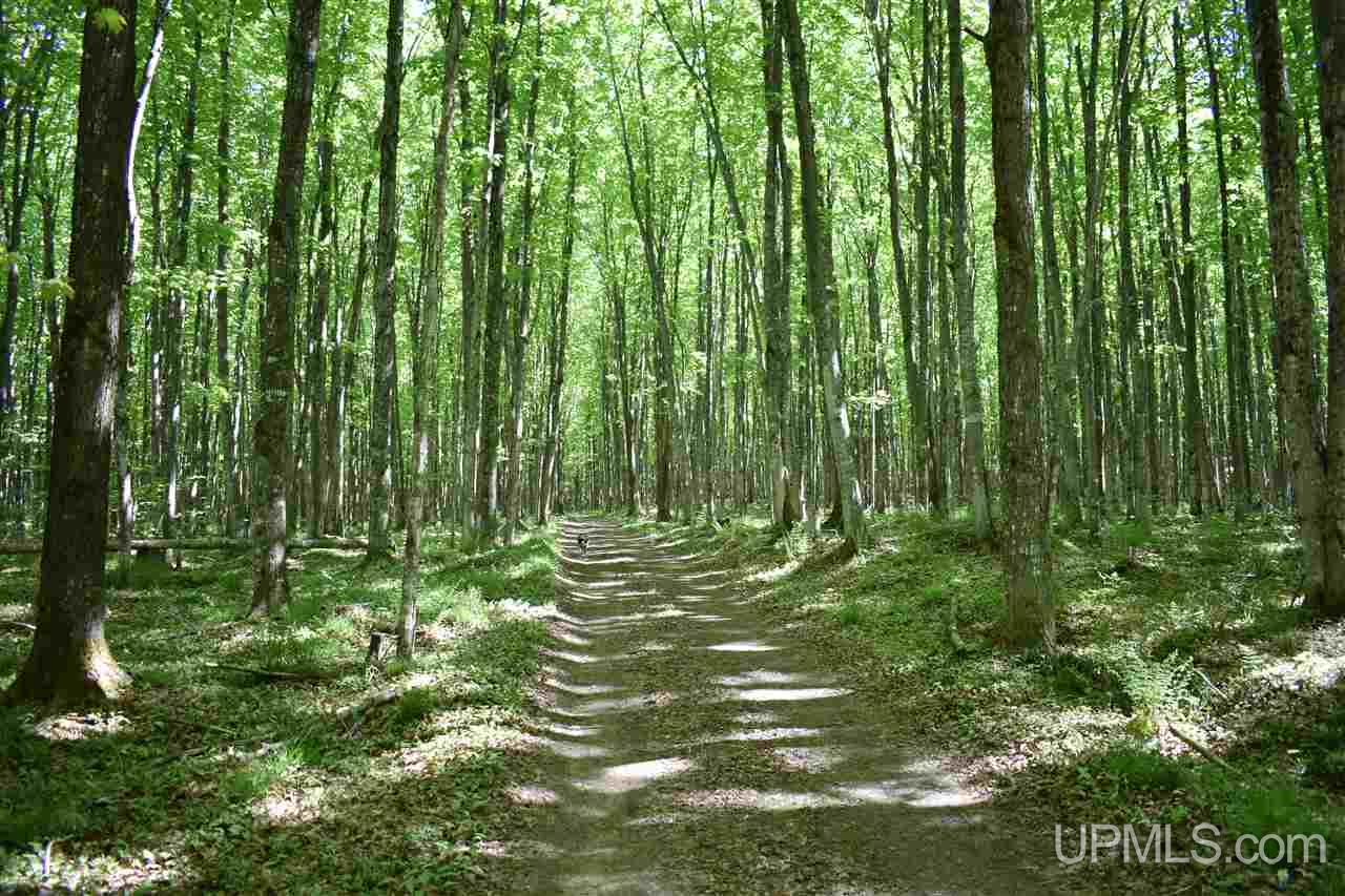 24-acres Co Rd Kb Big Bay, MI 49808 - Photo 23 of 50
