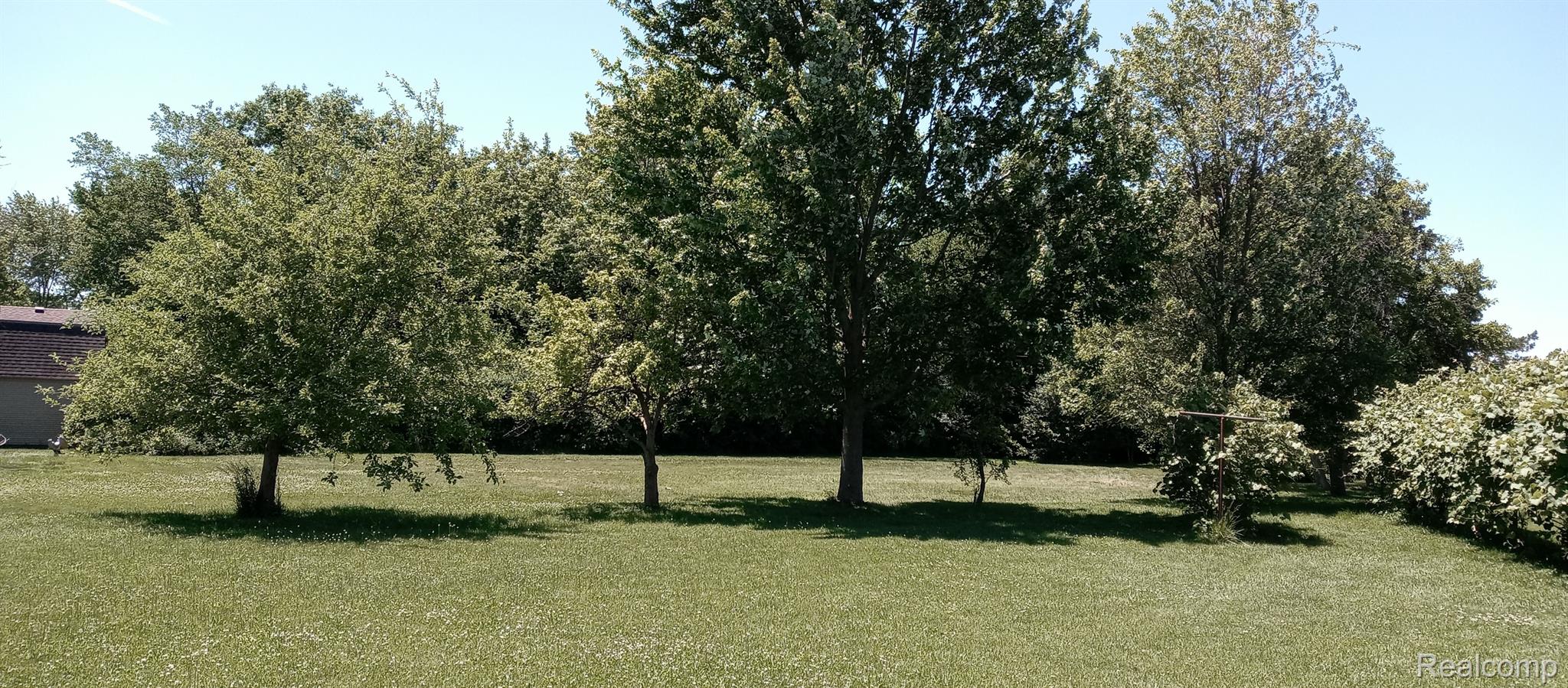28600 Allen Road Trenton, MI 48183 - Photo 8 of 10 Mature fruit trees