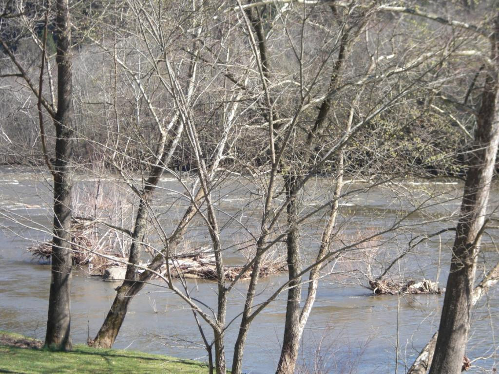 208 Bumpus Cove Road Erwin, TN 37650 - Photo 22 of 23 Photo 22