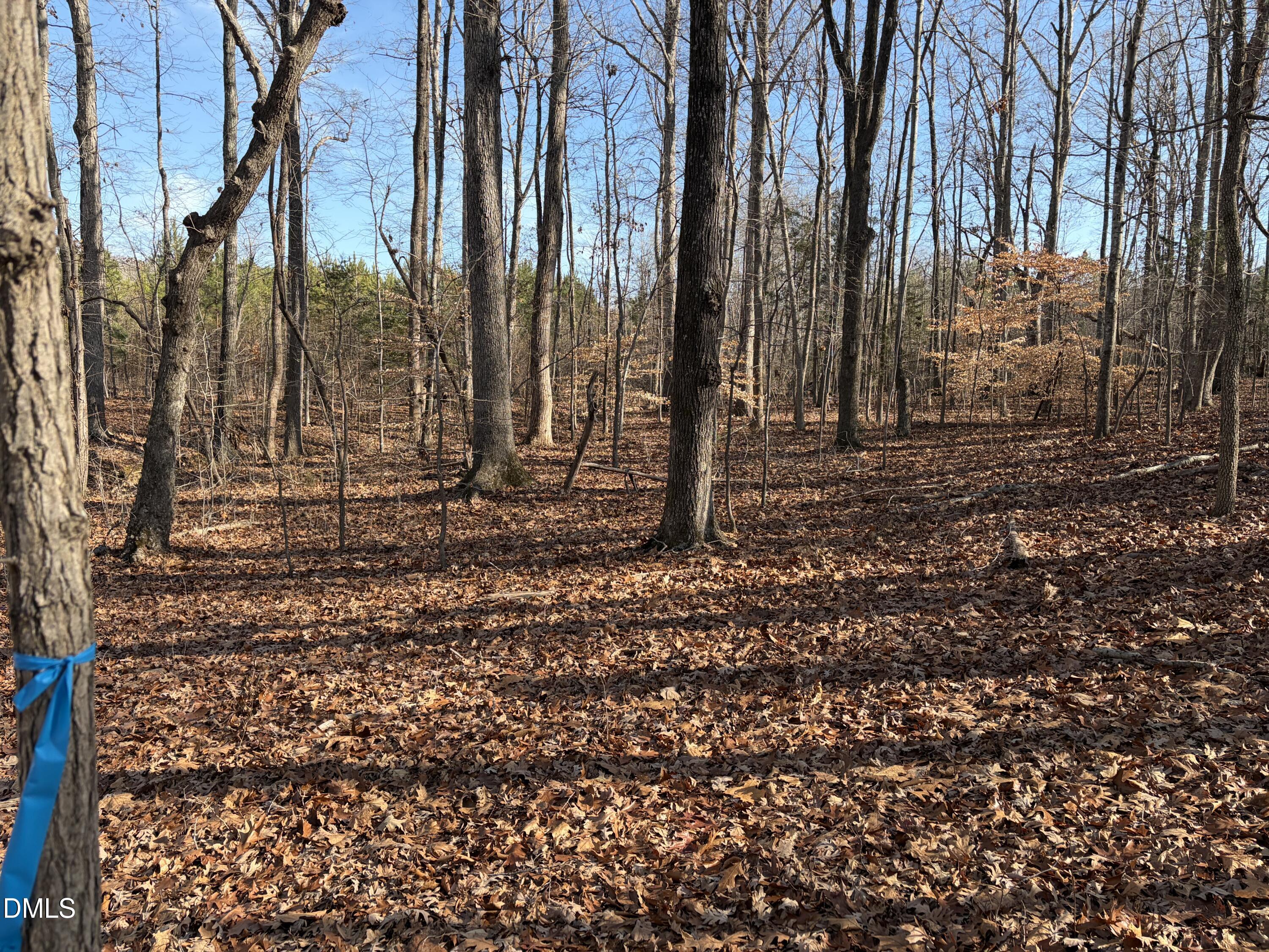 0 Webb Chapel Road Oxford, NC 27565 - Photo 2 of 5 a view of a backyard of the house