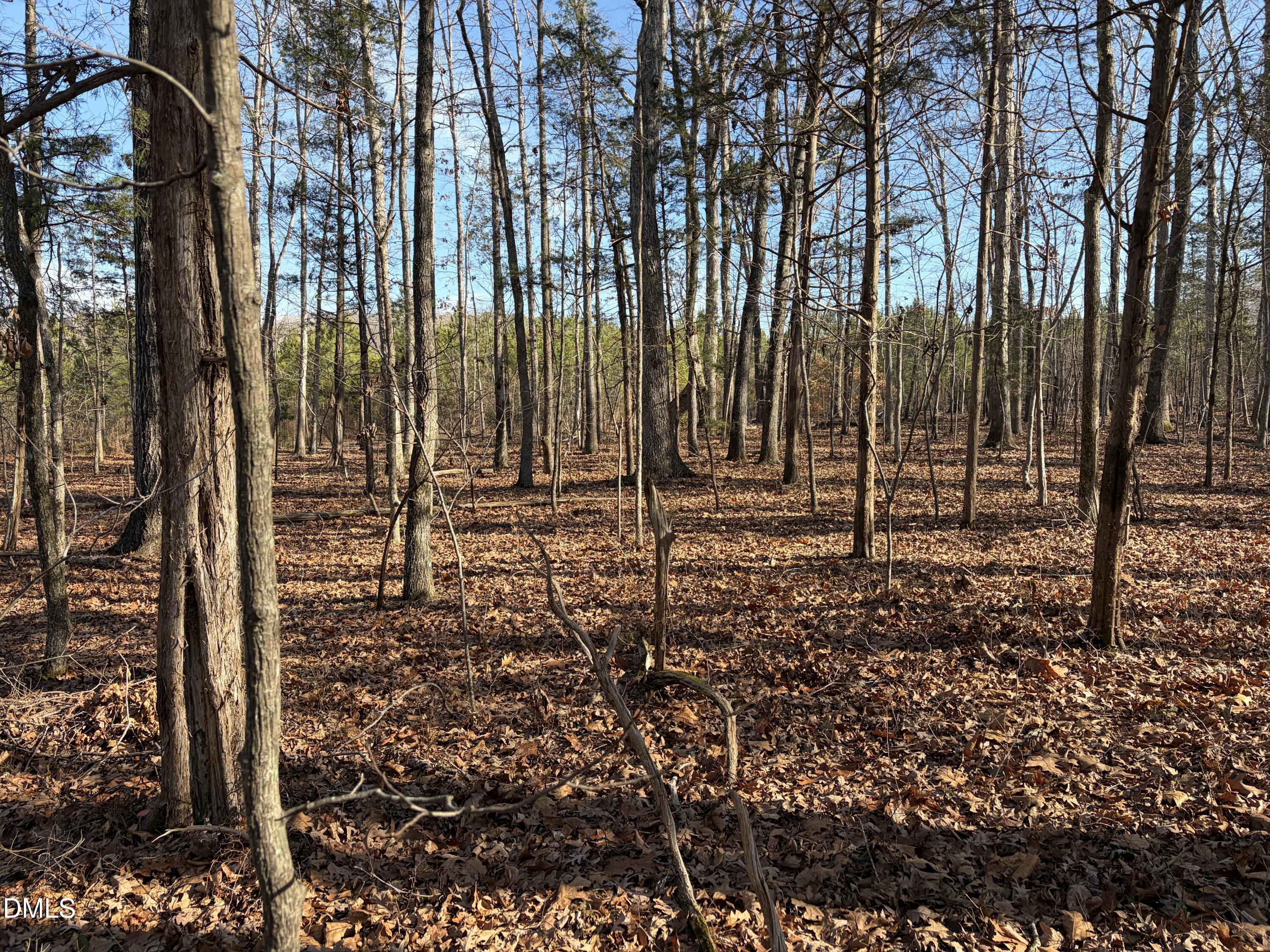 0 Webb Chapel Road Oxford, NC 27565 - Photo 4 of 5 a view of outdoor space with deck and trees