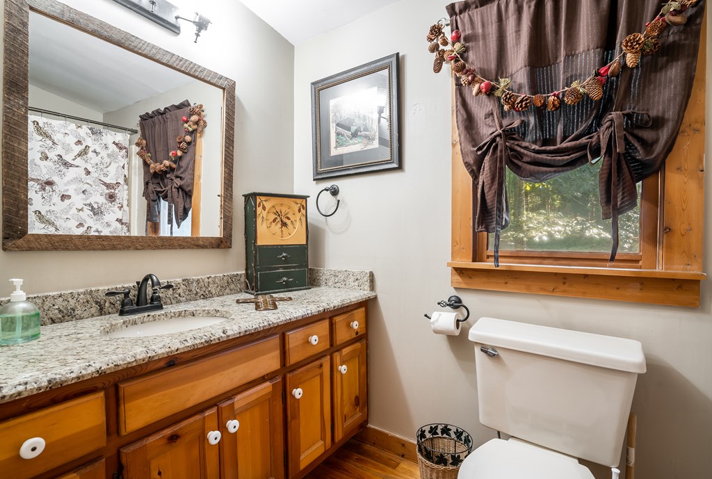 263 Indian Cave Road Ellijay, GA 30536 - Photo 23 of 50