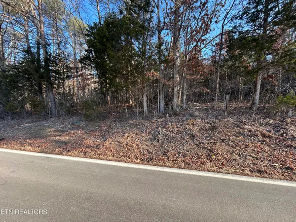 $75,000 | 5-acres North White Pine Road, Talbott, TN 37877