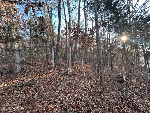 $75,000 | 5-acres North White Pine Road, Talbott, TN 37877