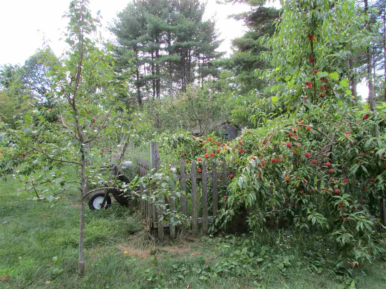 33 Evans Road Rochester, NH 03867 - Photo 26 of 31