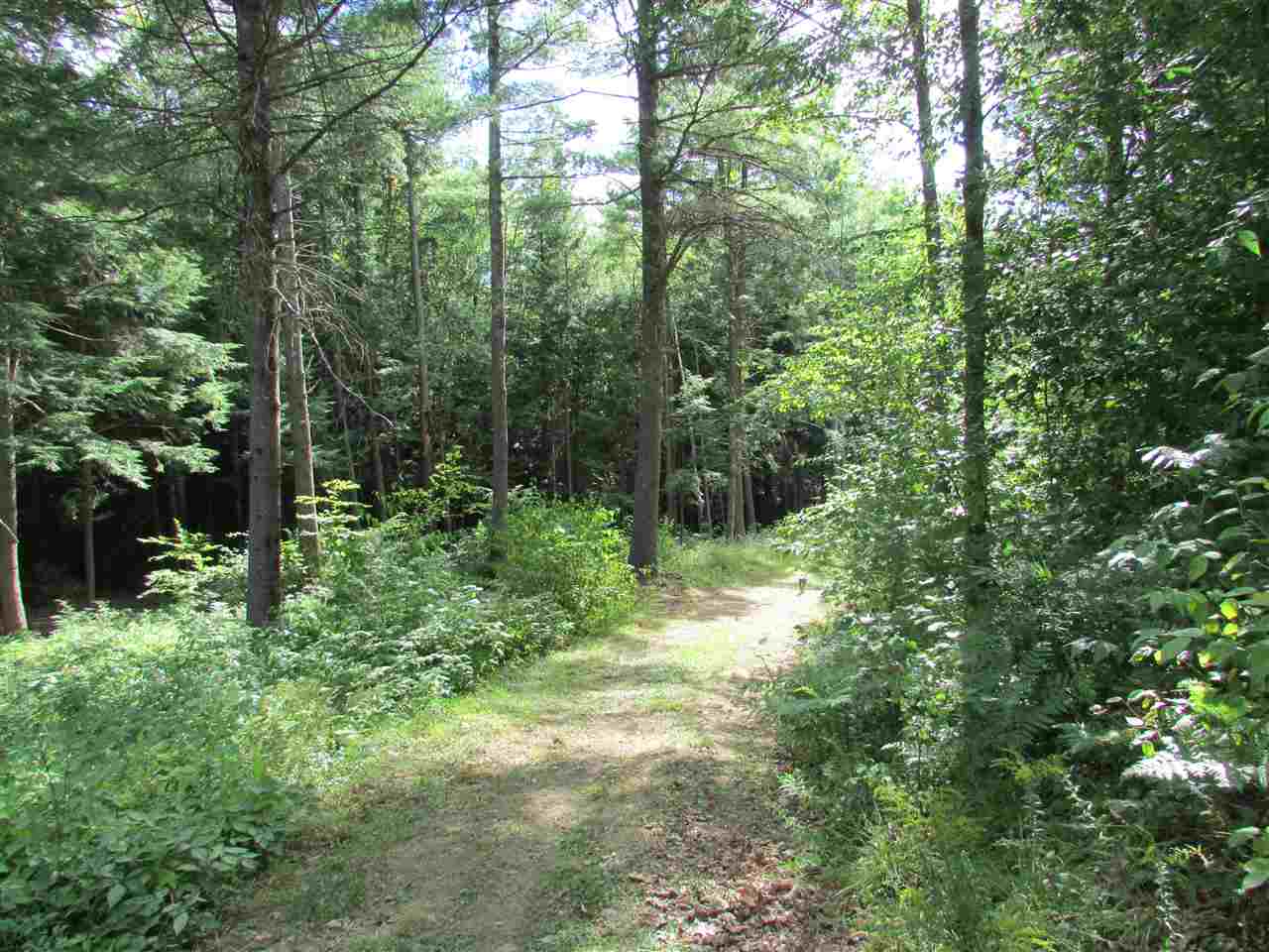33 Evans Road Rochester, NH 03867 - Photo 27 of 31