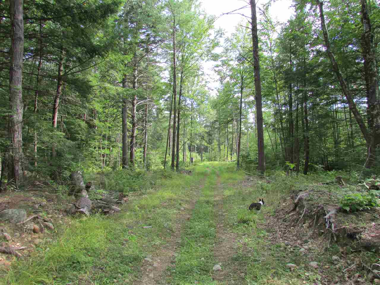 33 Evans Road Rochester, NH 03867 - Photo 28 of 31