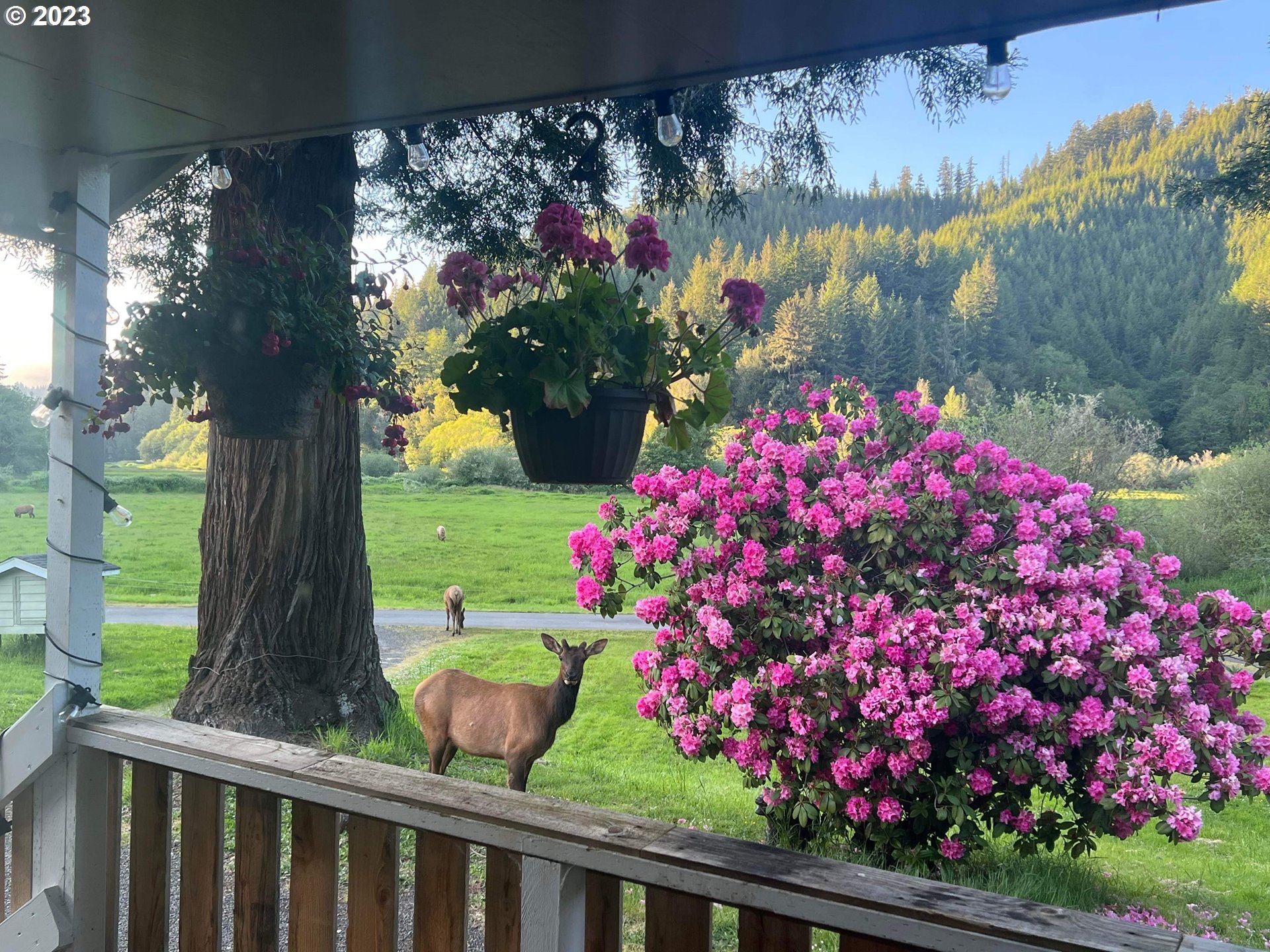 233 Johanneson Creek Road Reedsport, OR 97467 - Photo 13 of 48