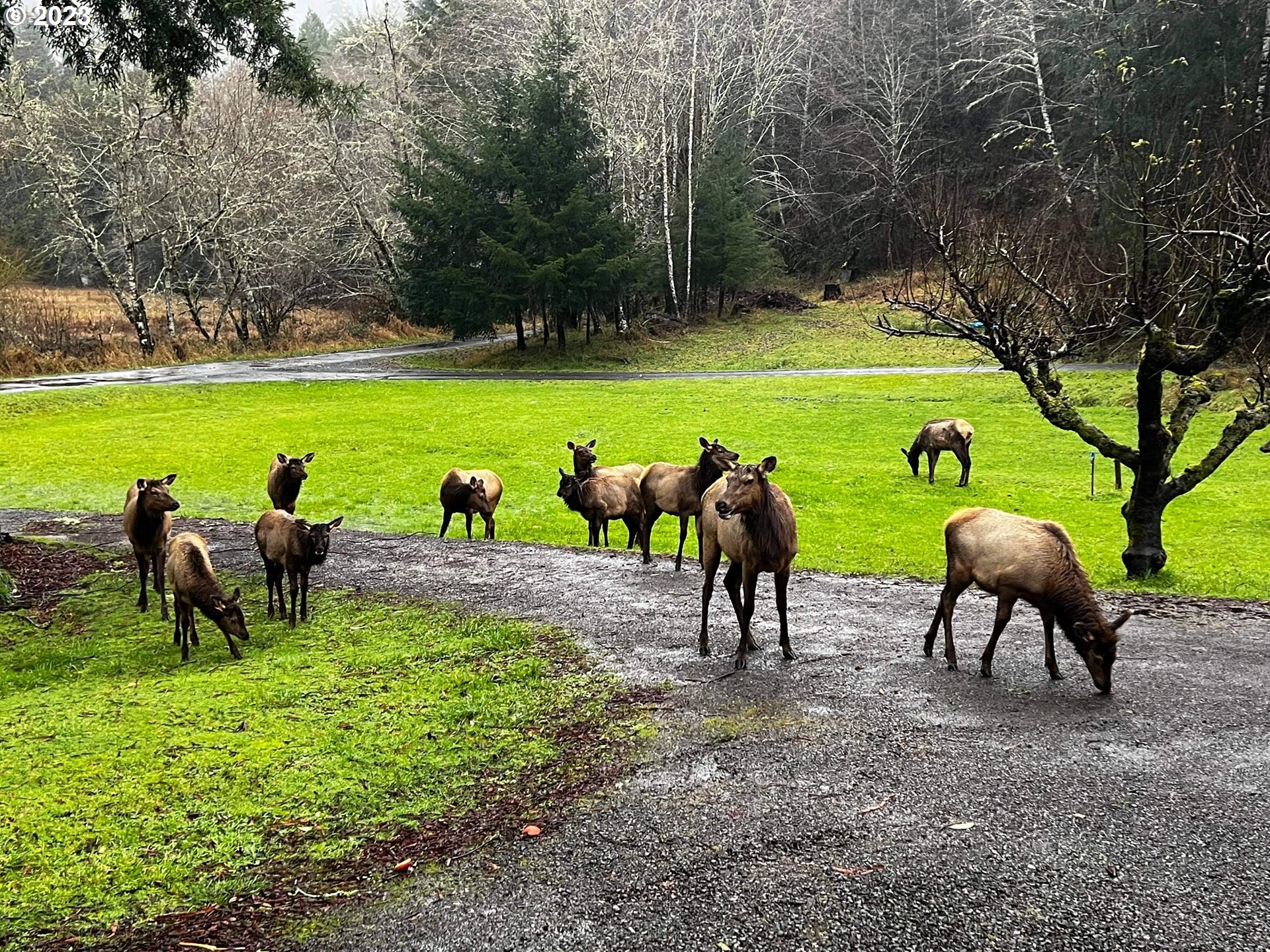 233 Johanneson Creek Road Reedsport, OR 97467 - Photo 14 of 48