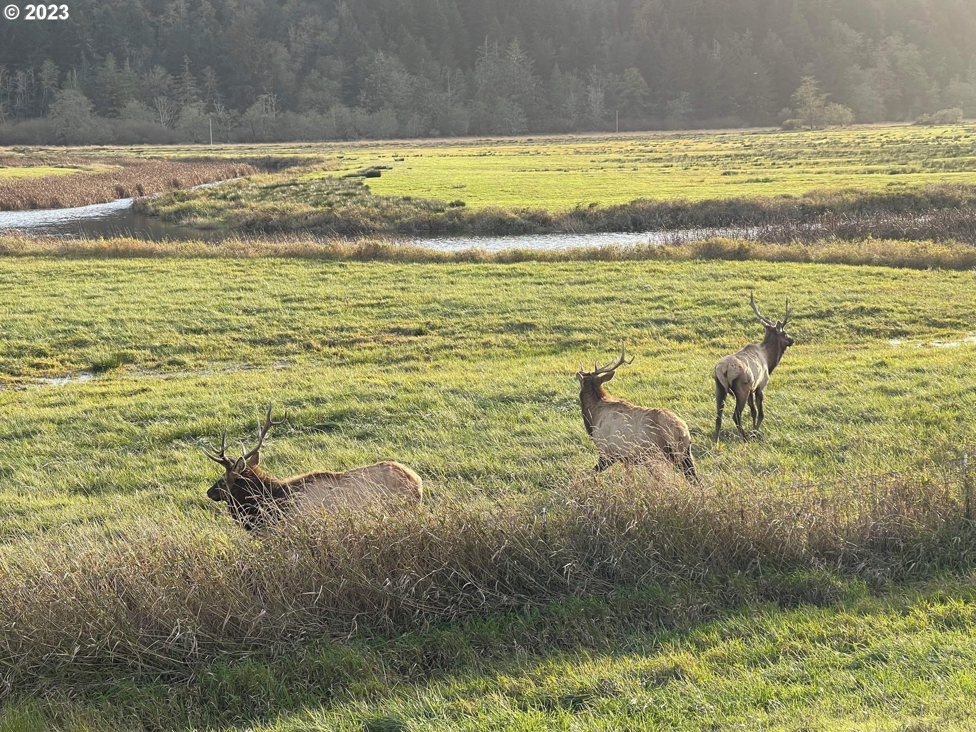 233 Johanneson Creek Road Reedsport, OR 97467 - Photo 45 of 48