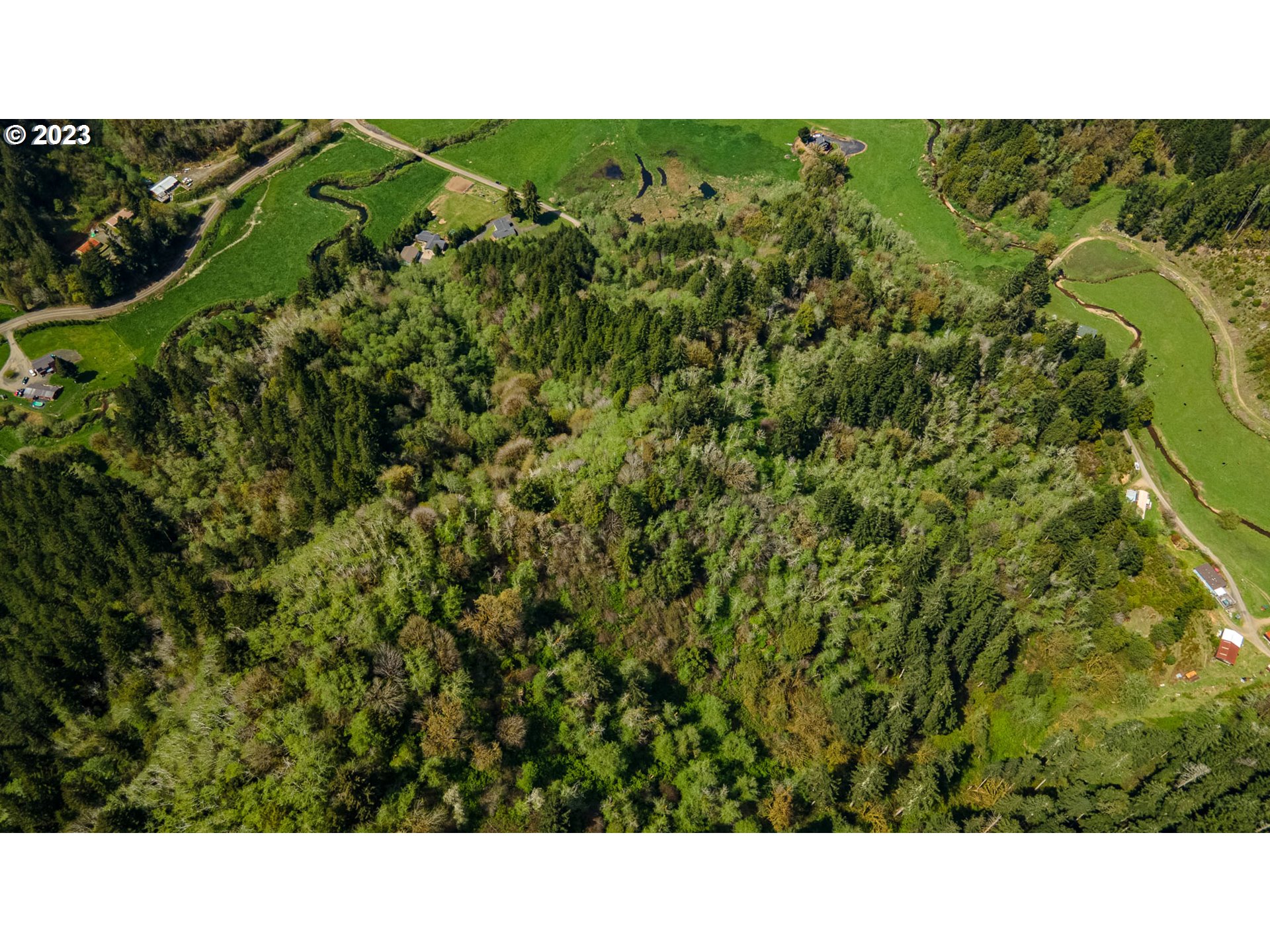 233 Johanneson Creek Road Reedsport, OR 97467 - Photo 47 of 48