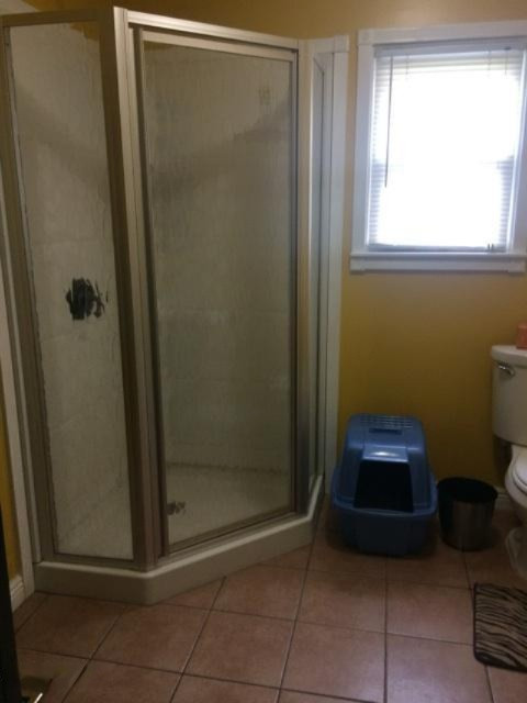 211 South State Street Reed City, MI 49677 - Photo 13 of 15 IMG_2911