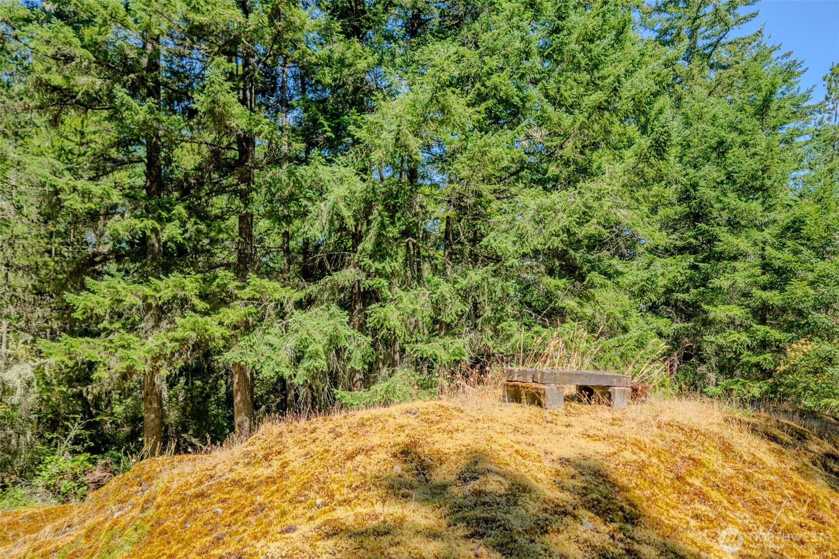 678 Swan Road Orcas Island, WA 98245 - Photo 28 of 39