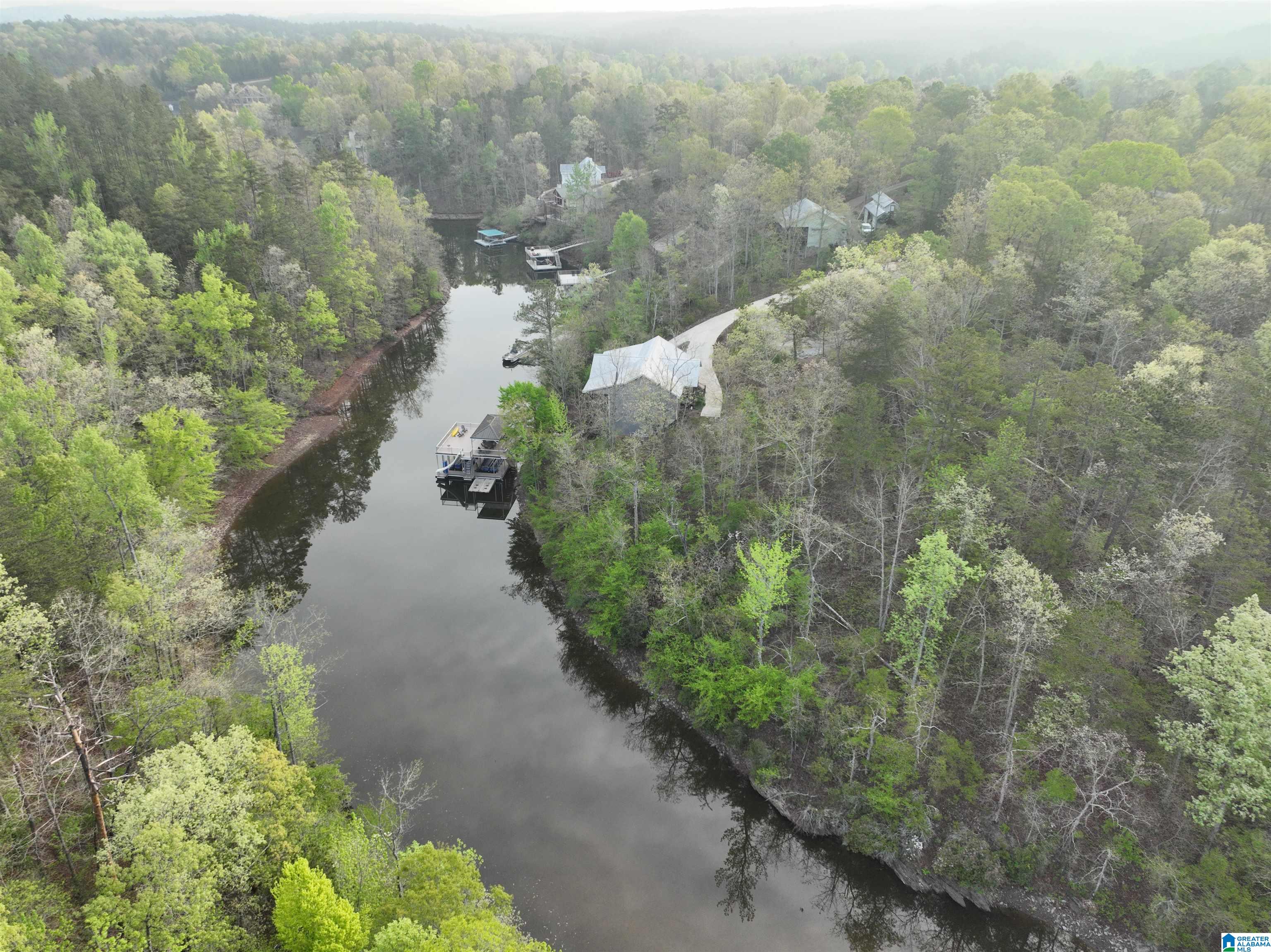 Lot 5 Dogwood Ridge, Unit LOT 5 Wedowee, AL 36278 - Photo 10 of 12